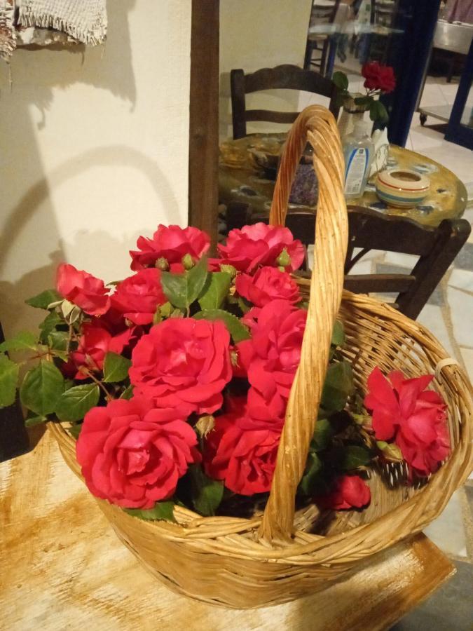 Guest house Vangelis
